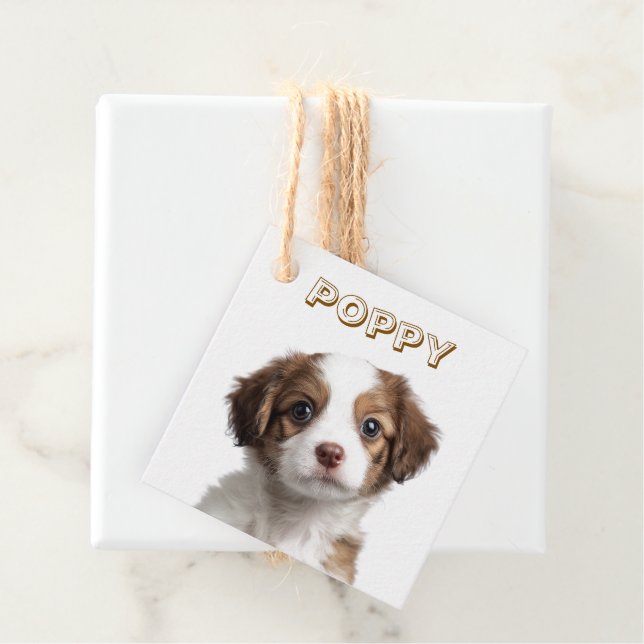 Custom Dog Photo & Name Favour Tags (In Situ)