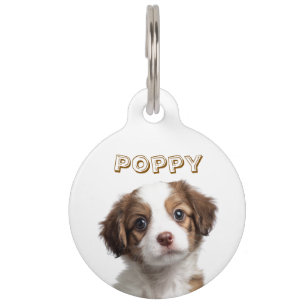 Custom Dog Photo & Name Pet Tag