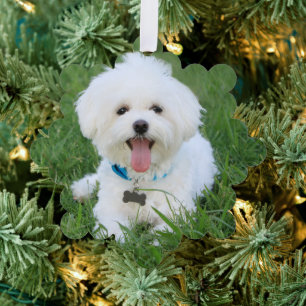 Custom Dog Photo Ornament Red