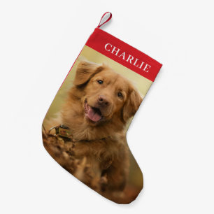 Custom Dog Photo Personalised Pet Small Christmas Stocking