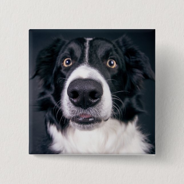 Custom Dog Photo Pet 15 Cm Square Badge (Front)