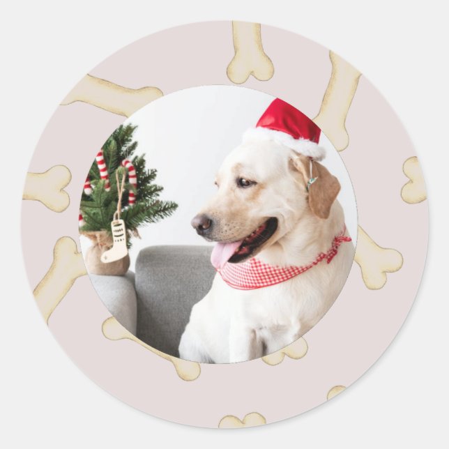 Custom Dog Photo with Bone Frame Stickers (Front)