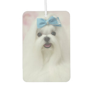 Custom Dog Two Photo Modern Minimalist Design Car Air Freshener