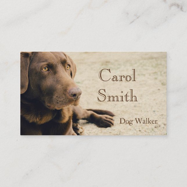 Custom Dog Walker, Pet Sitting Business Service Bu Card (Back)