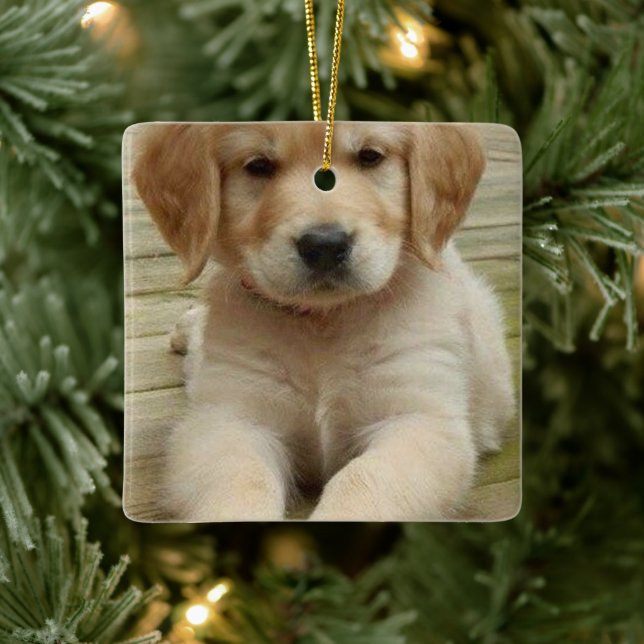 Custom double photo image picture Christmas Ceramic Ornament (Tree)