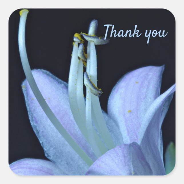 Custom Elegant Lavender Blue Flower Thank You Square Sticker (Front)