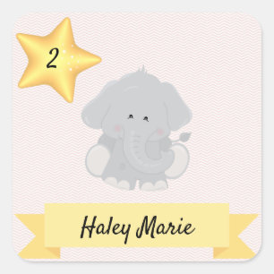 Custom Elephant Chevron Stripes with Name and Age Square Sticker