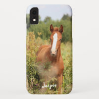 Custom Equestrian Horse Photo