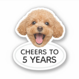 Custom Face Animalr Birthday Party Favours
