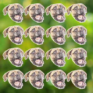 Custom Face Dog Stickers Personalised 16 Photos