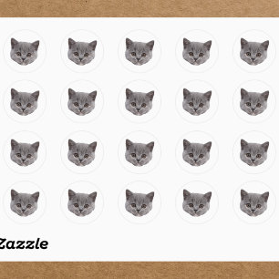 Custom Face Stickers Personalised Cat Face Photo