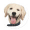 Custom Face Stickers Personalised Dog Face Photo
