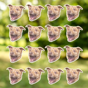 Custom Face Stickers, Photo Stickers, Stickers Dog