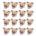 Custom Face Stickers, Photo Stickers, Stickers Dog<br><div class="desc">Personalised Cute Face Stickers, Replace the face of this dog with your favourite photo (make sure to crop as much to the face as possible and use an app to remove the background) and personalise this funny face gift with your kid, husband, or boyfriend on it! Also a fun and...</div>