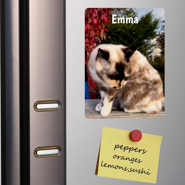Custom Family Pet, Cat Photo Refrigerator Magnet (Creator Uploaded)