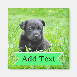 Custom Family Pet Photo and Name Picture Magnet