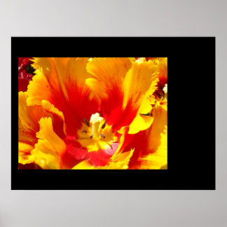 Custom Floral art prints Tulips Add Your Text