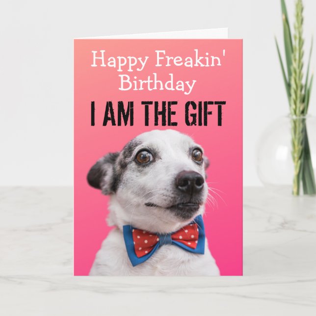 Custom Funny Dog Birthday Card  (Front)