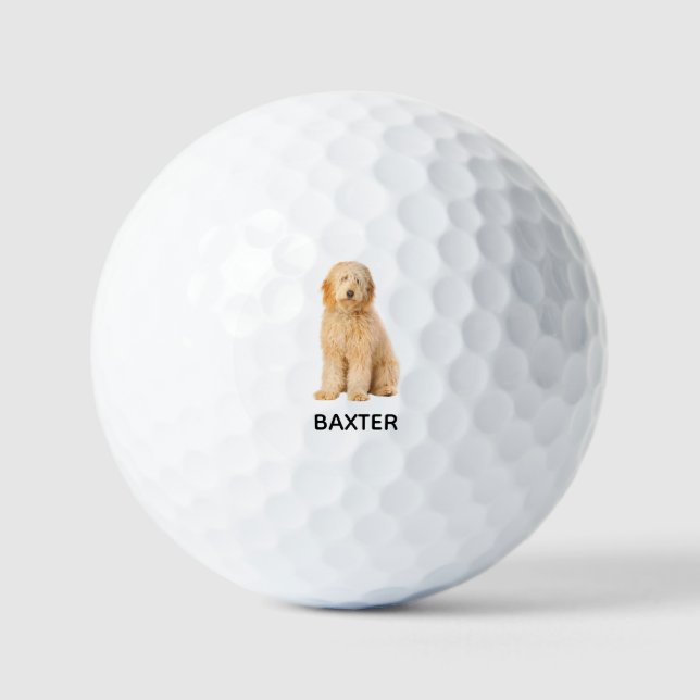 Custom Goldendoodle Photo Golf Balls (Front)
