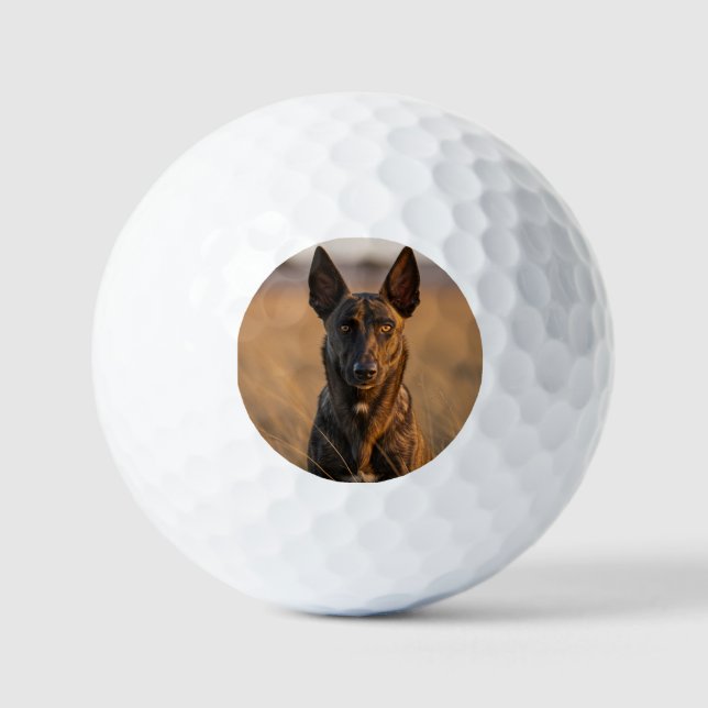Custom golf ball set (Front)