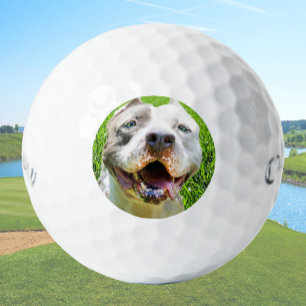 Custom Golf Balls With Dog Photo Create Your Own