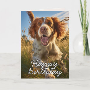 Custom Gordon Setter Happy Birthday Card