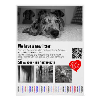 Custom Great Dane Tear-Off Notice Poster