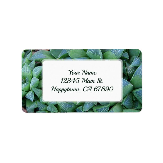 Custom Green Haworthia Succulent Plant Address Label (Front)