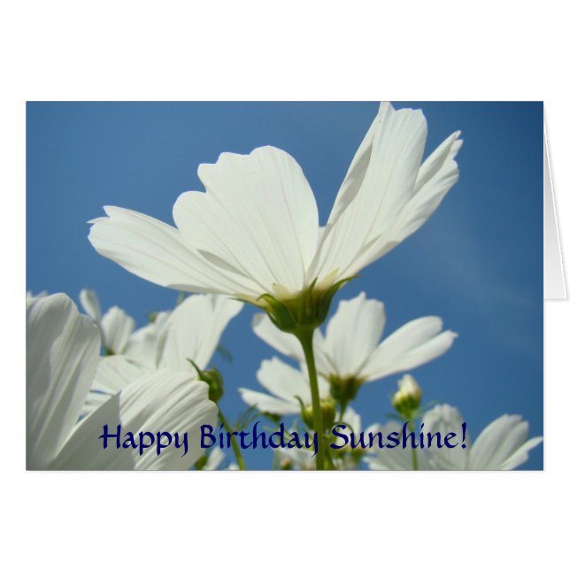 CUSTOM Greeting Cards Happy Birthday White Daisy (Front Horizontal)