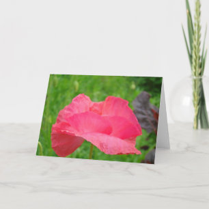 Custom Greeting cards Pink Poppy Flower