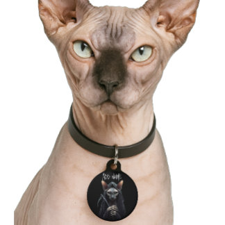Custom Grim Reaper Sphynx Cat Funny Pet Tag