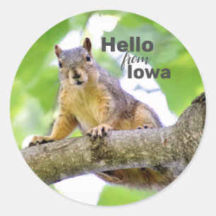 Custom Hello From Your State Envelope Seals