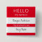 Custom HELLO My Name Pronouns Is Badge