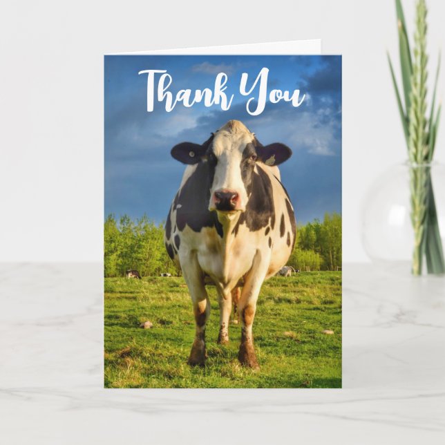 Custom Holstein Cow Thank You Card (Front)