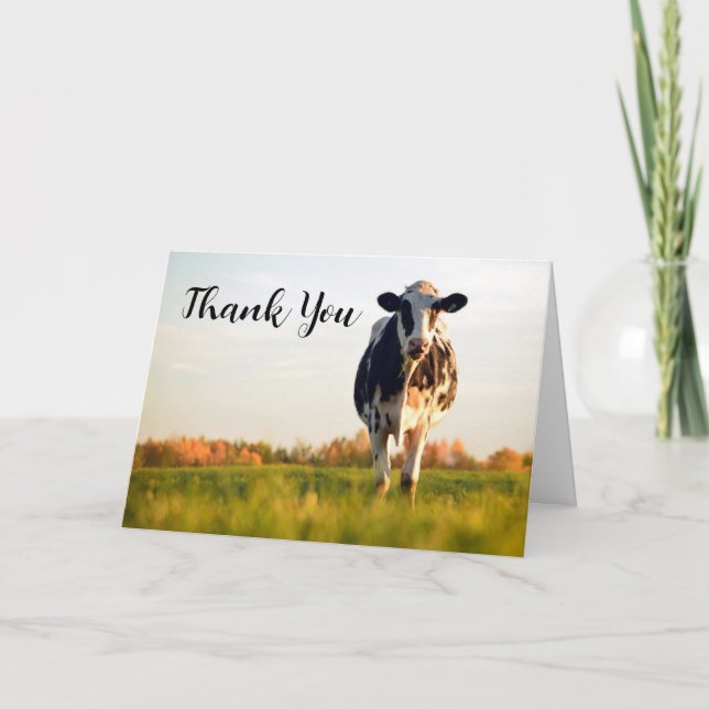 Custom Holstein Cow Thank You Card 5x7 (Front)