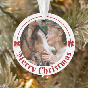 Custom Horse Name Photo Equestrian Ornament