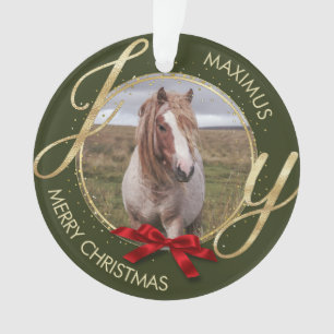 Custom Horse Name Photo horse lover Ornament