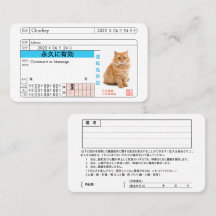 Custom Japanese Driver's License Card!!