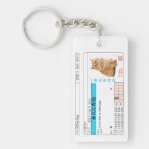 Custom Japanese Driver's License Card!
