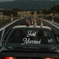Custom Just Married Car Wedding Banner 