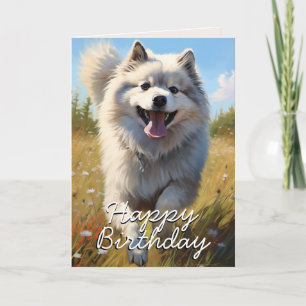 Custom Keeshond Birthday Card