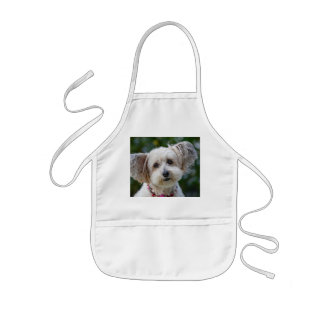 Custom Kids Apron
