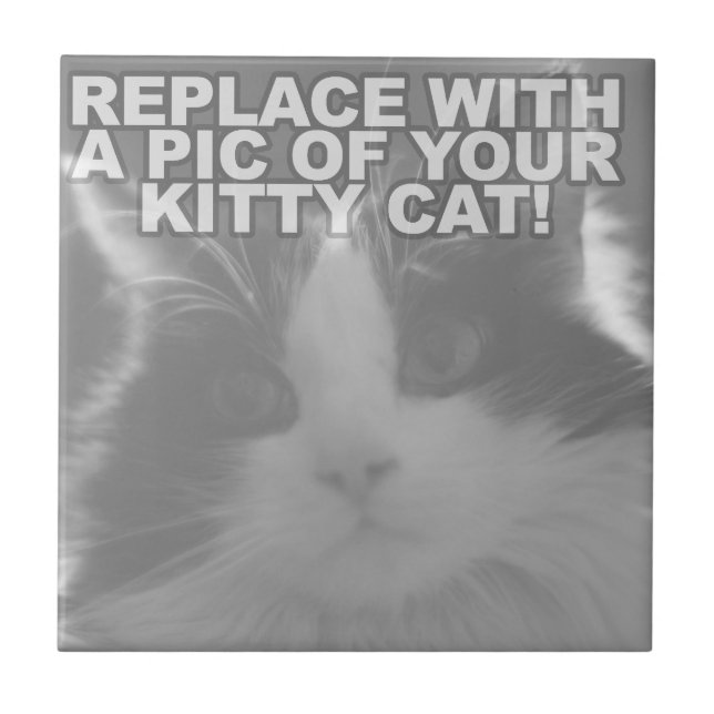 Custom Kitty Cat Tile (Front)