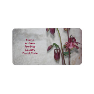 Custom Label