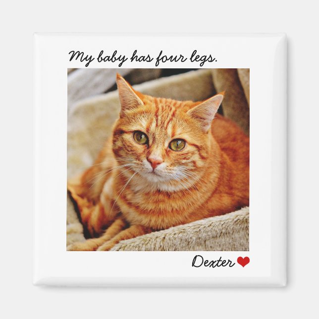 Custom Large Photo Personalized Pet Magnet (Front)