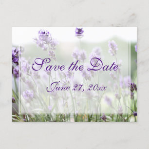 Custom Lavender Bohemian Save The Date Postcards