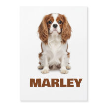 Custom Love Dog Lover Name