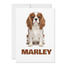 Custom Love Dog Lover Name