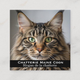Custom Maine Coon Cattery Business Card