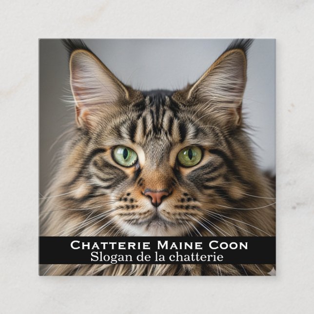 Custom Maine Coon Cattery Business Card (Front)